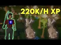 OSRS Easy 2t Woodcutting Guide