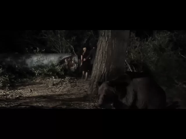 Bear - Official HD Trailer