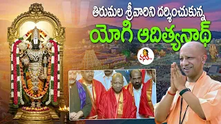 శ్రీవారిని దర్శించుకున్న యూపీ సీఎం యోగి ఆదిత్యనాథ్ | CM Yogi Adityanath Visits Tirumala Temple
