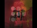 Download Lagu Paladin Strait into City Walls into Heavydirtysoul - Twenty One Pilots