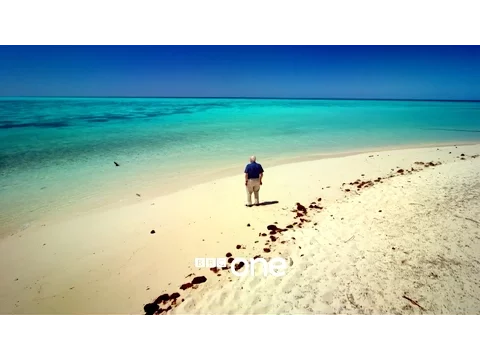 Great Barrier Reef with David Attenborough: Trailer - BBC One