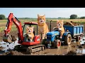 Download Lagu Mama Cat Trims Fur on the Farm and Makes Tiger Hat For Kittens At Home🐾🎩🐯