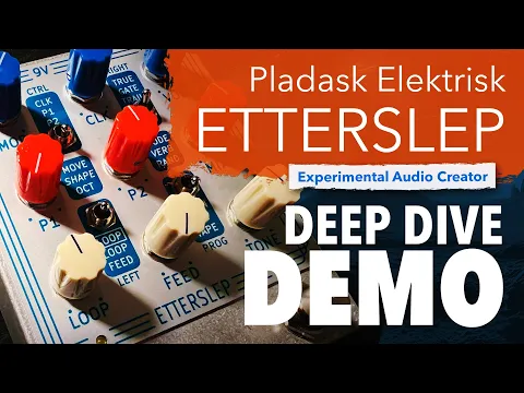 Pladask Etterslep Granular Delay | Delicious Audio