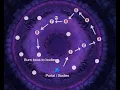 1 portal N zot