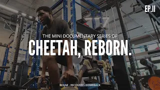 Cheetah, Reborn Ep 2