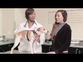 VIP Petcare - Wellness Center