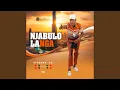 Lagu Uthemba Lo! (feat. Siya Ntuli)