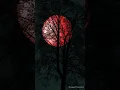 Download Lagu Romi The Jahats - Bunga Kertas Merah Berduri lirik