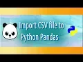 Import CSV file to Python Pandas How to
