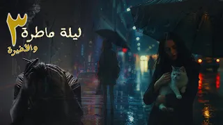 رواية ليلة ماطرة الحلقة 3 والأخيرة أسامة المسلم بصوت طارق قويدر 