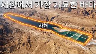‘죽은 바다’는 왜 사라지지 않을까?