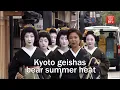 Kyoto geishas bear summer heat