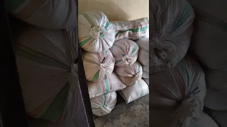 هذا بيت حقي امي انا كنت الزمان وجربتي  هذا بيت حقي امي انا كنت الزمان وجربتي