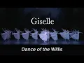 Download Lagu Dance of the Willis – GISELLE Adam – Polish National Ballet