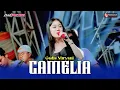 Download Lagu CAMELIA - GADIS MURYANI ||  OM.PETRA |  PW. AUDIO