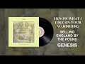 Download Lagu Genesis - I Know What I Like (In Your Wardrobe) [Official Audio]