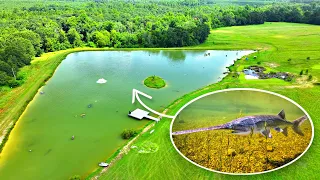 Adding Rare Paddlefish to the 5 Acre Pond!