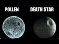 Everything you need to know about grass pollen allergies