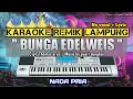 Download Lagu BUNGA EDELWEIS - KARAOKE REMIX LAMPUNG - NADA PRIA