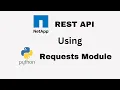 Connect NetApp REST API With Python Requests Library