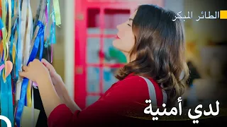رحلة سينام للعثور على الحب 29 سلسل الطائر المبكر 