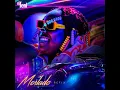 MOSLADO (Pheelz Remix)