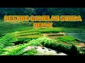 Download Lagu INSTRUMENTAL - DEGUNG - GAMELAN SUNDA REMIX