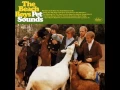 Caroline No - Beach Boys