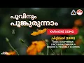 Lagu പൂവിനും പൂങ്കുരുന്നാം - വിറ്റ്നസ് | HD Karaoke with Lyrics | Ouseppachan | Bichu Thirumala | Duet