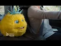Air Conditioning Liberty Biberty Liberty Mutual Insurance Commercial