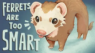 Ferrets are a little too Smart