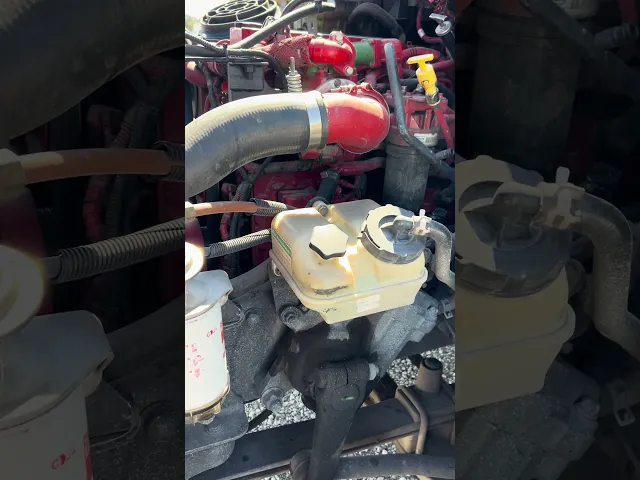 View Video