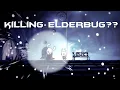 This Will TRIGGER The Hollow Knight Community