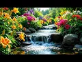 Download Lagu Relaxing Music for Stress, Anxiety and Depression🌿 Mind, Calming Music for Nerves