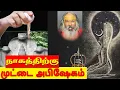 Download Lagu நாக தேவதைகளுக்கு முட்டை அபிஷேகம் | yaanan speech | @channelartindia