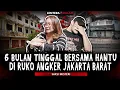 Download Lagu PETAKA TINGGAL DI TEMPAT YANG SALAH ‼️