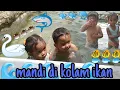 Download Lagu Mandi di kolam Ikan 🐳🐡