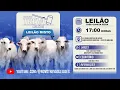 Download Lagu ⭐ 268º LEILÃO MISTO - NOVO TREVÃO LEILÕES EM PATOS DE MINAS/MG - 27/08/2025