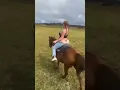 Download Lagu 🐎 🍑 #thick #curvy #thickwomen #sexy #bbw #curvygirl #beautiful #model #curves #curvesome #viral