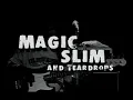 Magic Slim & The Teardrops - Natu Nobilis Blues Festival - Porto Alegre - 2002
