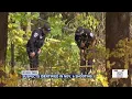 Two arrested one at large in connection with Rockford shooting