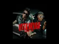 Jombriel, DFZM - Vitamina | INSTRUMENTAL