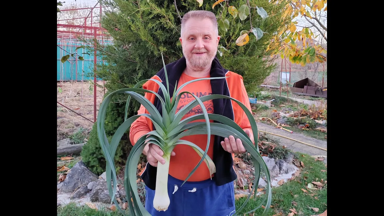 Умный сад - в гостях у Николая Курдюмова.