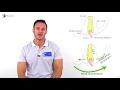 Dix Hallpike Test | Posterior BPPV