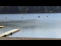 Fam 230903 Gold Key Lake 2719 Poconos