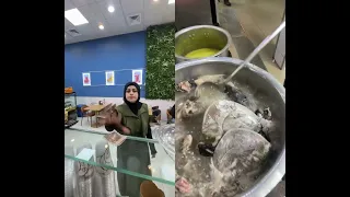 ممكن كاسة سلاش   ام سيف ونانو         ك                                                       دندنها