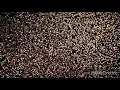 Nightcore-MELODIES Hot Shade TORADORA TAIGA GIF AMV