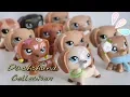 All of My Lps Dachshunds Lps Collection