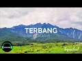 Download Lagu Terbang by Felix Agus (Lirik)