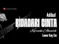 Download Lagu Bidadari Cinta - Adibal - Karaoke Akustik